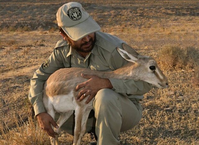 چالش کمبود محیط‌بان گلستان و به پرواز درآمدن ایلوشین در مهار آتش